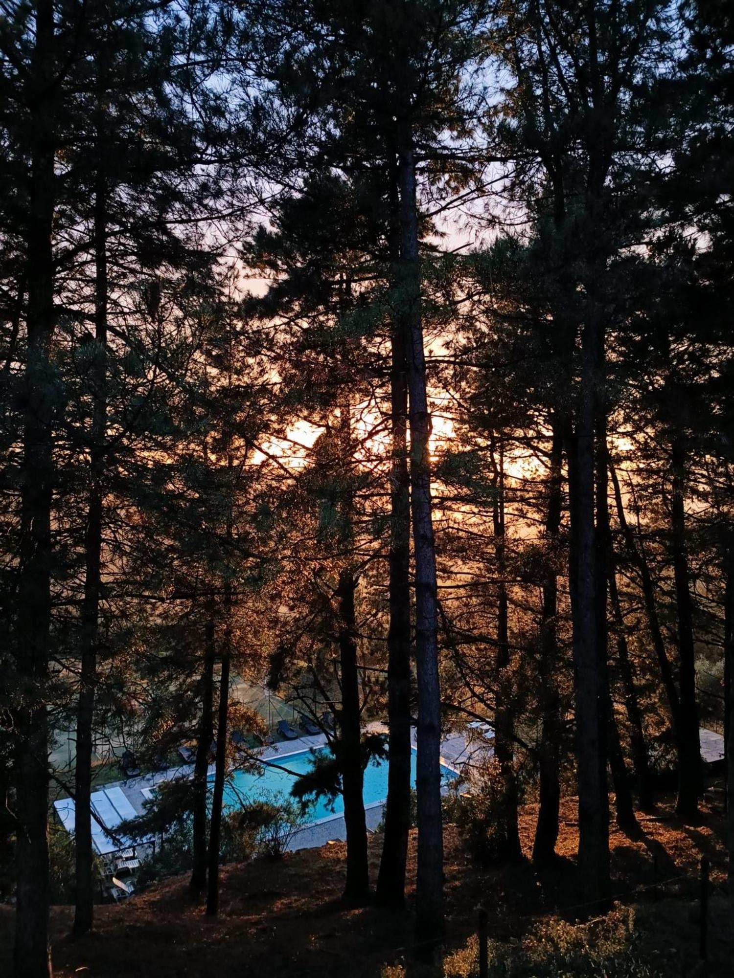 Locanda Di Praticino Руфина Экстерьер фото